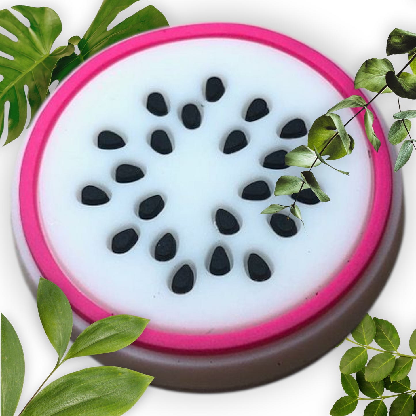 The Fruit Collection