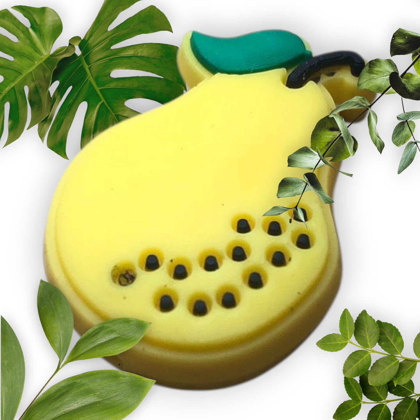 The Fruit Collection