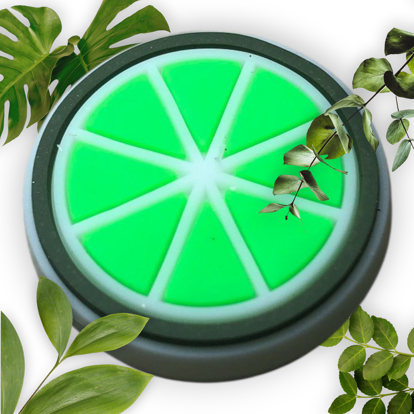 The Fruit Collection